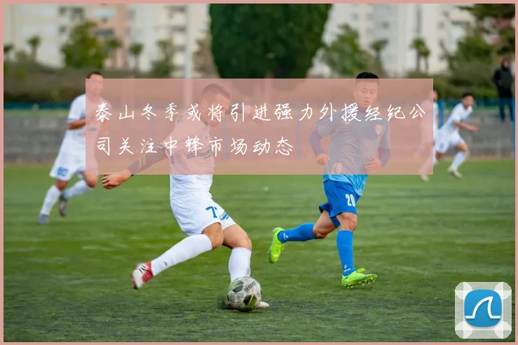 泰山冬季或将引进强力外援经纪公司关注中锋市场动态