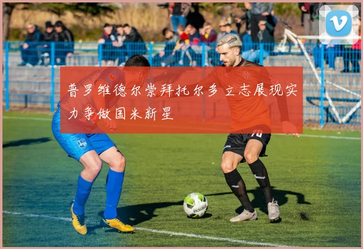 普罗维德尔崇拜托尔多立志展现实力争做国米新星