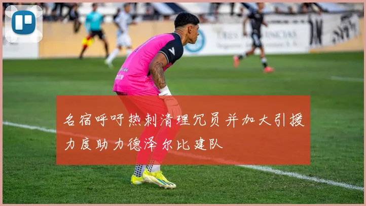 名宿呼吁热刺清理冗员并加大引援力度助力德泽尔比建队